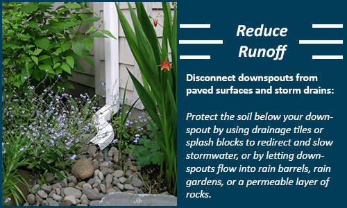 Reduce Runoff