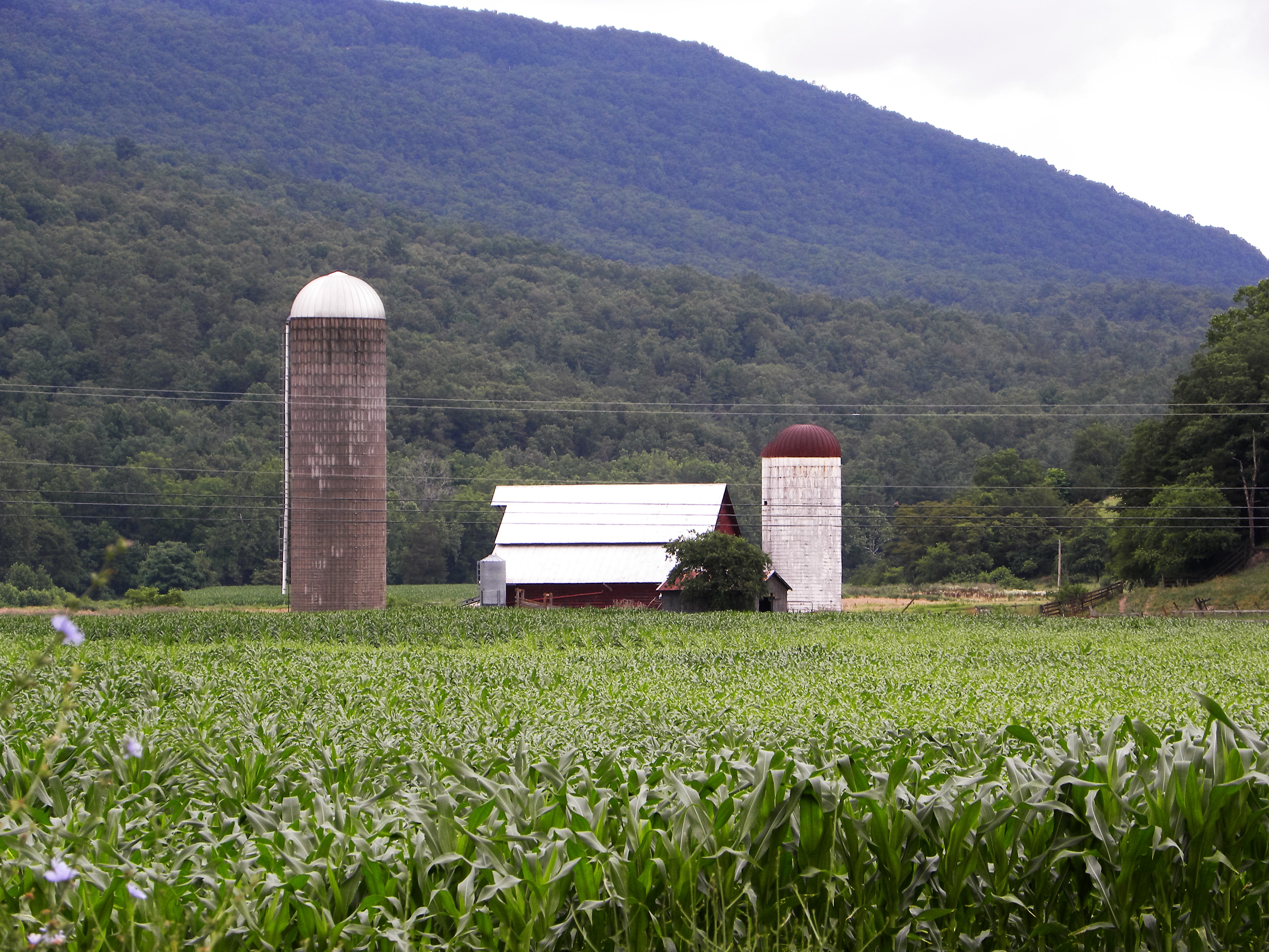 Barn