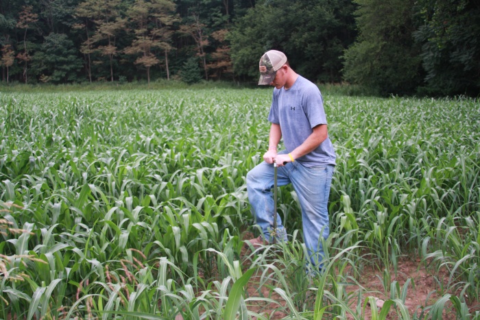 Soil Sampling