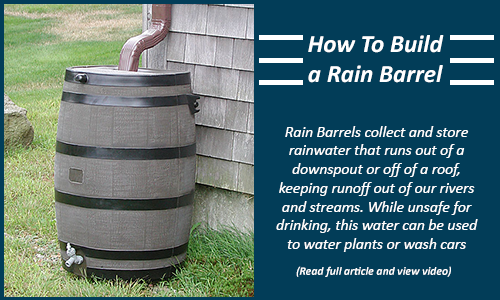 Rain Barrel